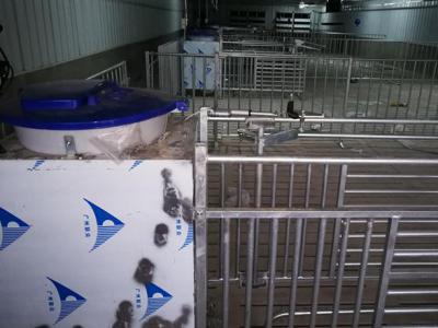 四川电子饲喂站销售案例