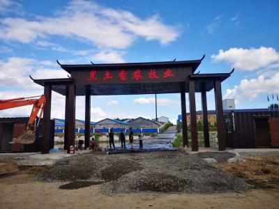 吉林7500母猪自繁育猪场电子饲喂站安装案例