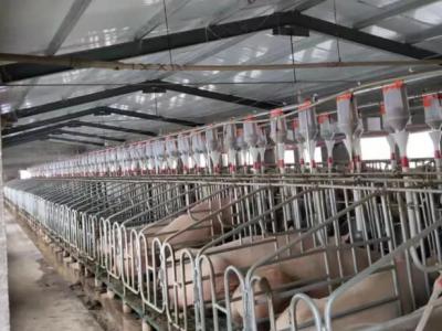 限位栏优点和电子饲喂站缺点