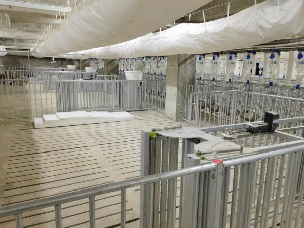 遂宁天穗集团楼房猪场